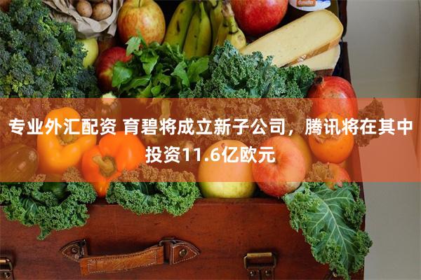 专业外汇配资 育碧将成立新子公司，腾讯将在其中投资11.6亿欧元