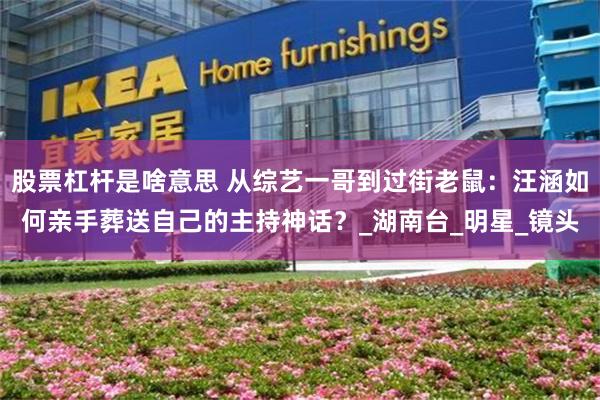 股票杠杆是啥意思 从综艺一哥到过街老鼠：汪涵如何亲手葬送自己的主持神话？_湖南台_明星_镜头