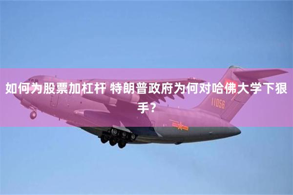 如何为股票加杠杆 特朗普政府为何对哈佛大学下狠手？