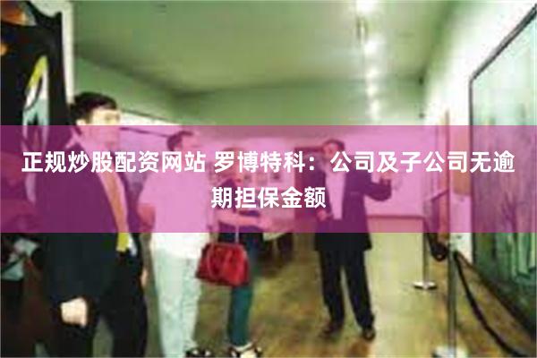 正规炒股配资网站 罗博特科：公司及子公司无逾期担保金额