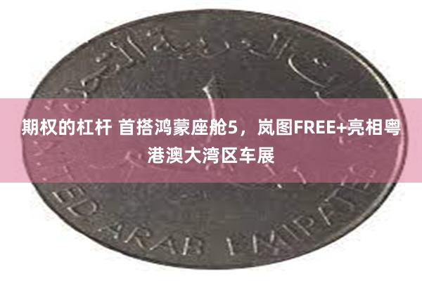 期权的杠杆 首搭鸿蒙座舱5，岚图FREE+亮相粤港澳大湾区车展