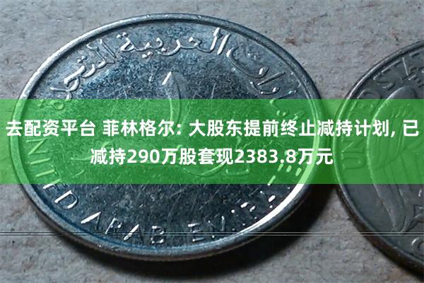 去配资平台 菲林格尔: 大股东提前终止减持计划, 已减持290万股套现2383.8万元