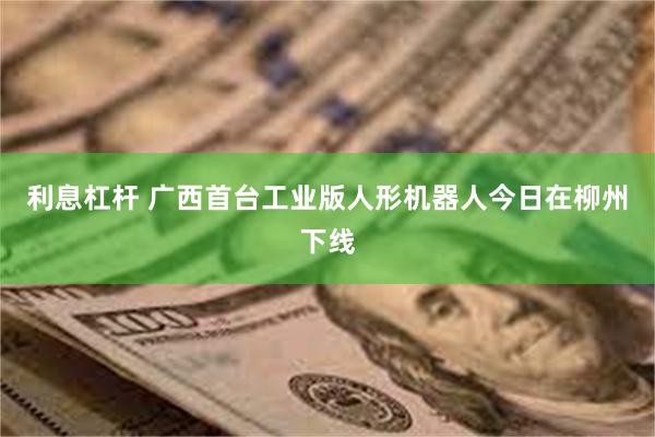 利息杠杆 广西首台工业版人形机器人今日在柳州下线