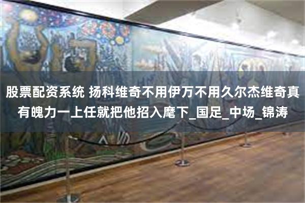 股票配资系统 扬科维奇不用伊万不用久尔杰维奇真有魄力一上任就把他招入麾下_国足_中场_锦涛