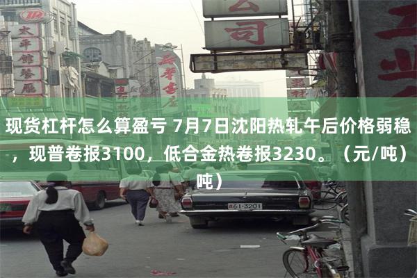 现货杠杆怎么算盈亏 7月7日沈阳热轧午后价格弱稳，现普卷报3100，低合金热卷报3230。（元/吨）